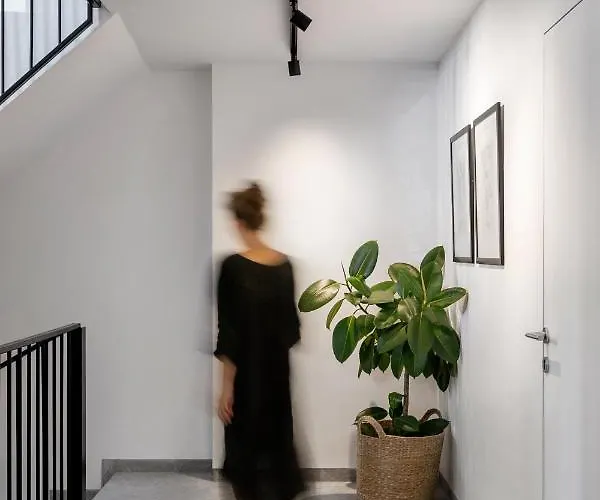 Bridges Велико Търново